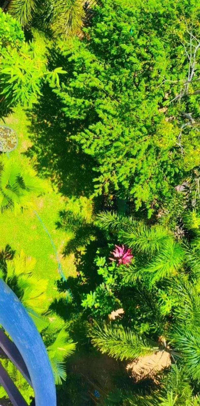 Bundala Swan Cottages Hambantota Exterior foto