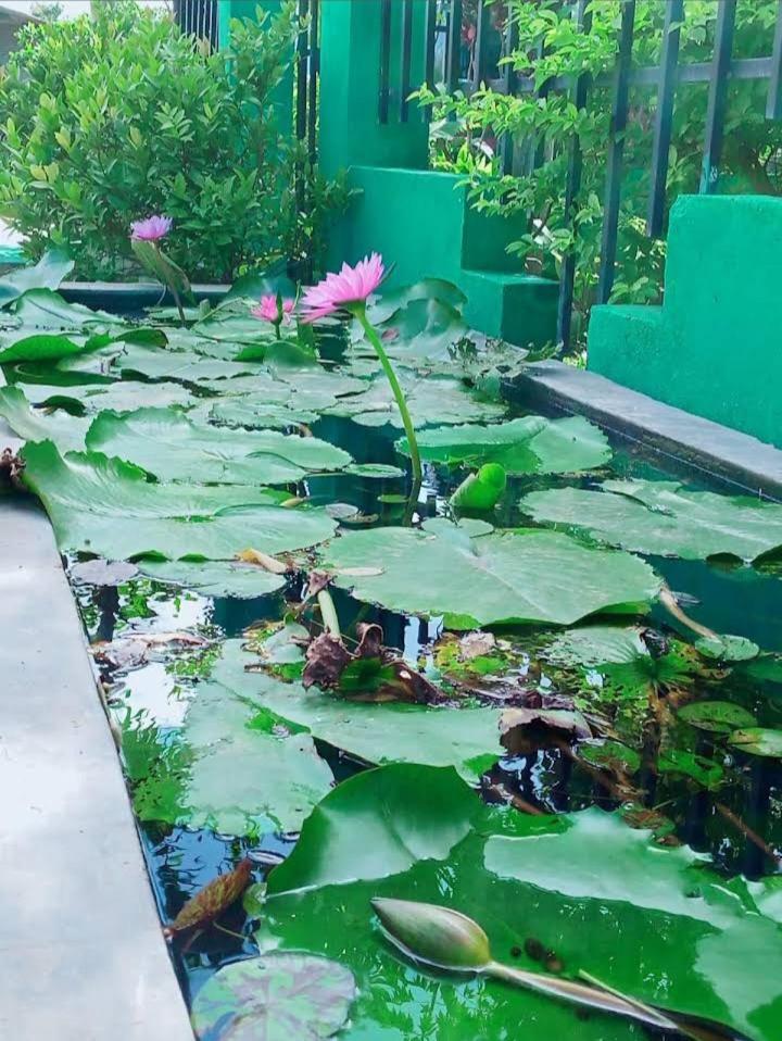 Bundala Swan Cottages Hambantota Exterior foto